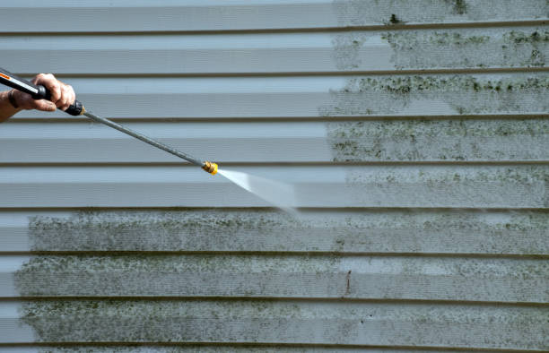 Best Driveway Pressure Washing  in Terryville, CT